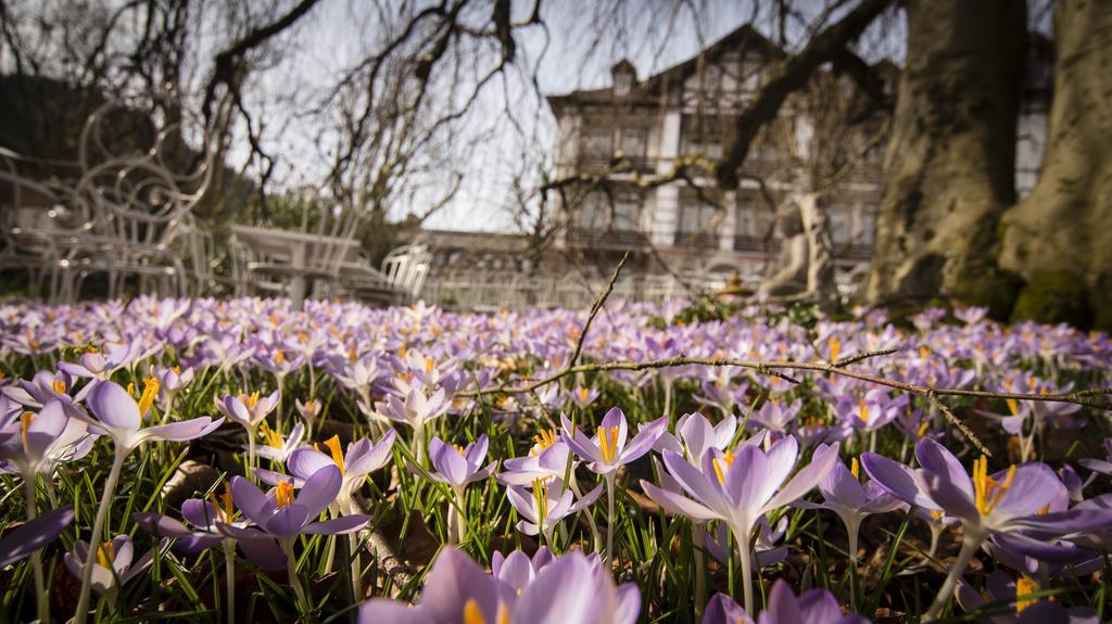 Hotel Tannenhof Baden-Baden Bilik gambar